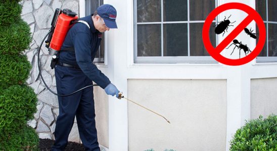 Suluova Bit İlaçlama böcek ilaçlama ve haşere kontrolü — ilaclama-tr.com